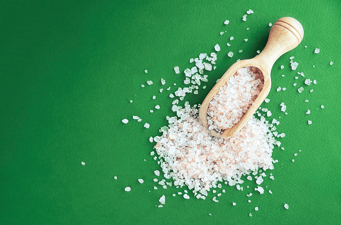 Can a High-Salt Diet Alter the Gut Microbiome?