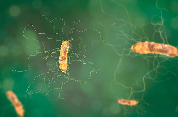 Scientific illustration of probiotic strains with electrical signals on a green background.