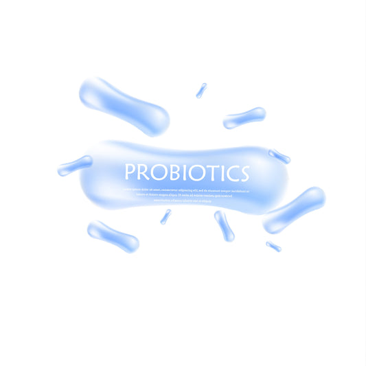 Scientific illustration of probiotic bacteria under microscopic close-up view.