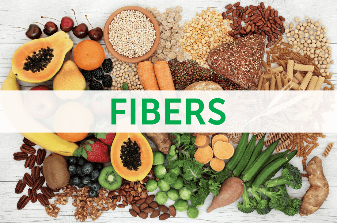 L'importance des fibres alimentaires pour une bonne santé