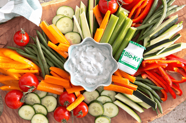 Protein Packed Probiotic Dip for Parents & Teachers