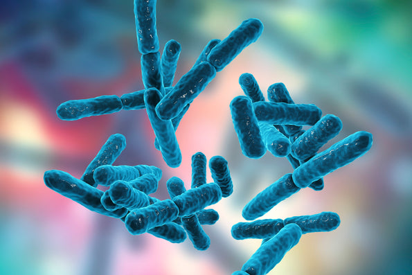 Less Is More: Why We Only Put Three Probiotics Strains in Bio-K+