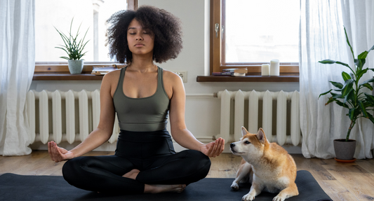 Meditation 101: How to Meditate Properly