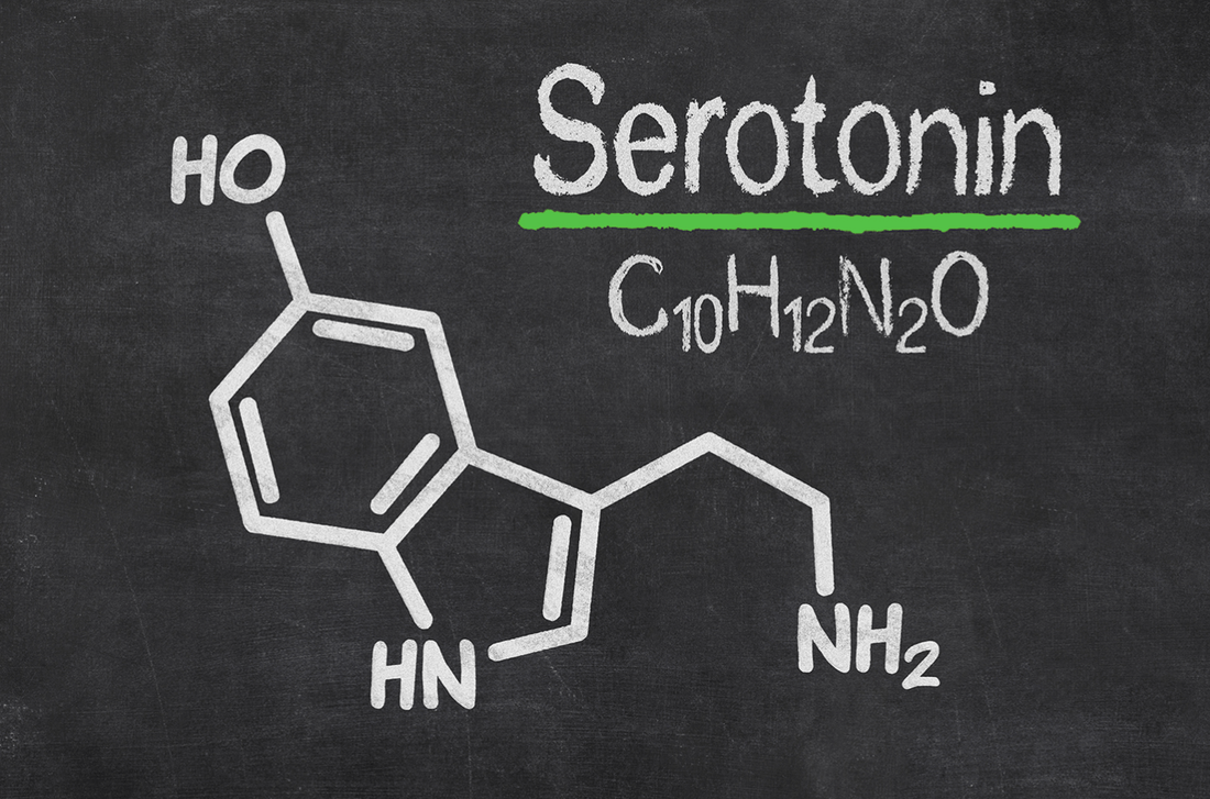 Serotonin: The Happy Hormone Produced In Our Gut 