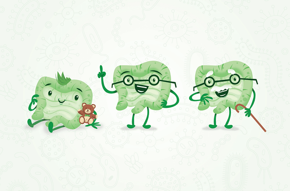 How The Microbiome Changes with Age