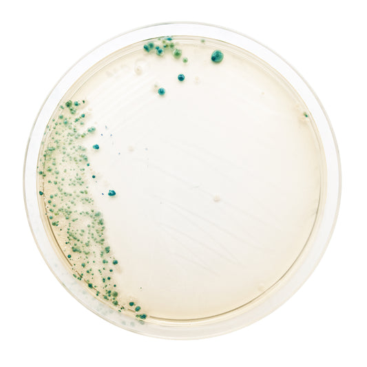 New names, same bacteria: science is renaming two of your favorite Bio-K+ bacteria!
