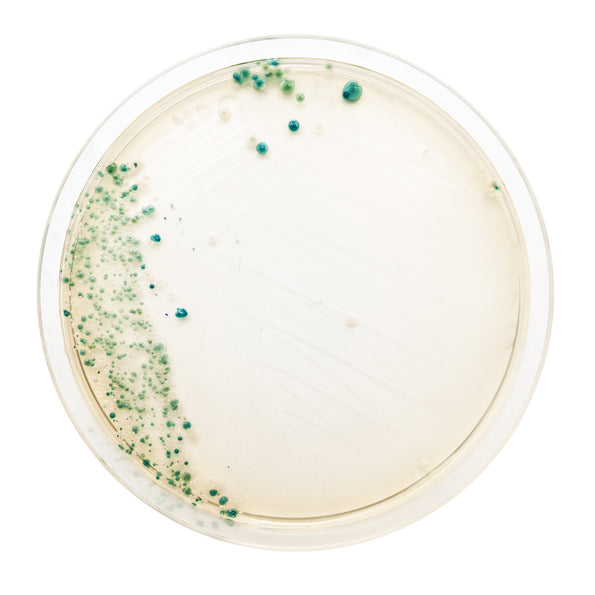 New names, same bacteria: science is renaming two of your favorite Bio-K+ bacteria!