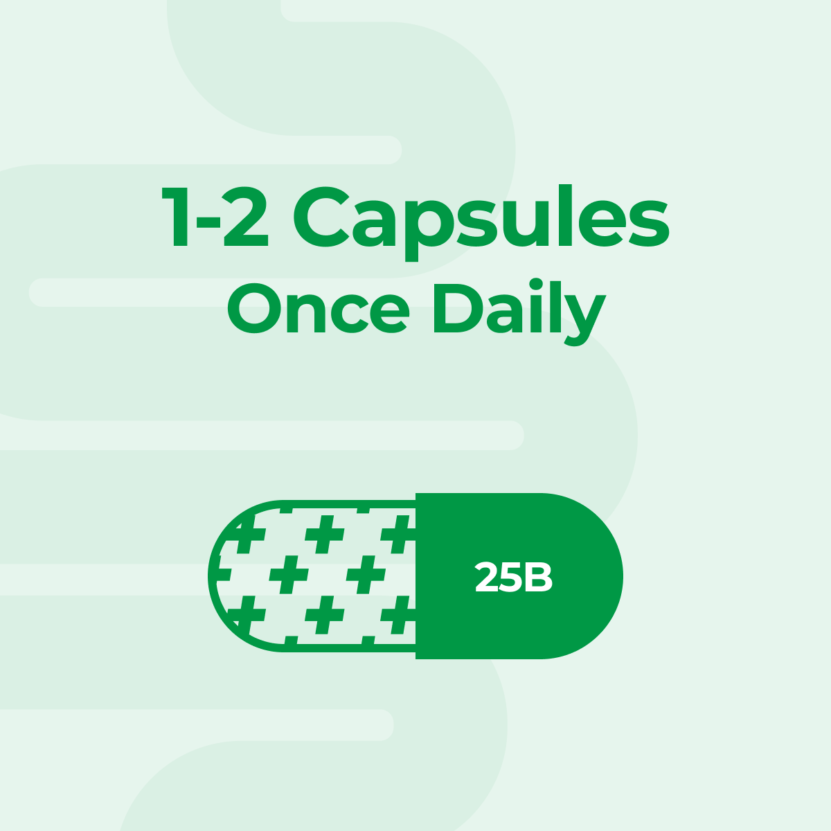 Daily Probiotic Capsules