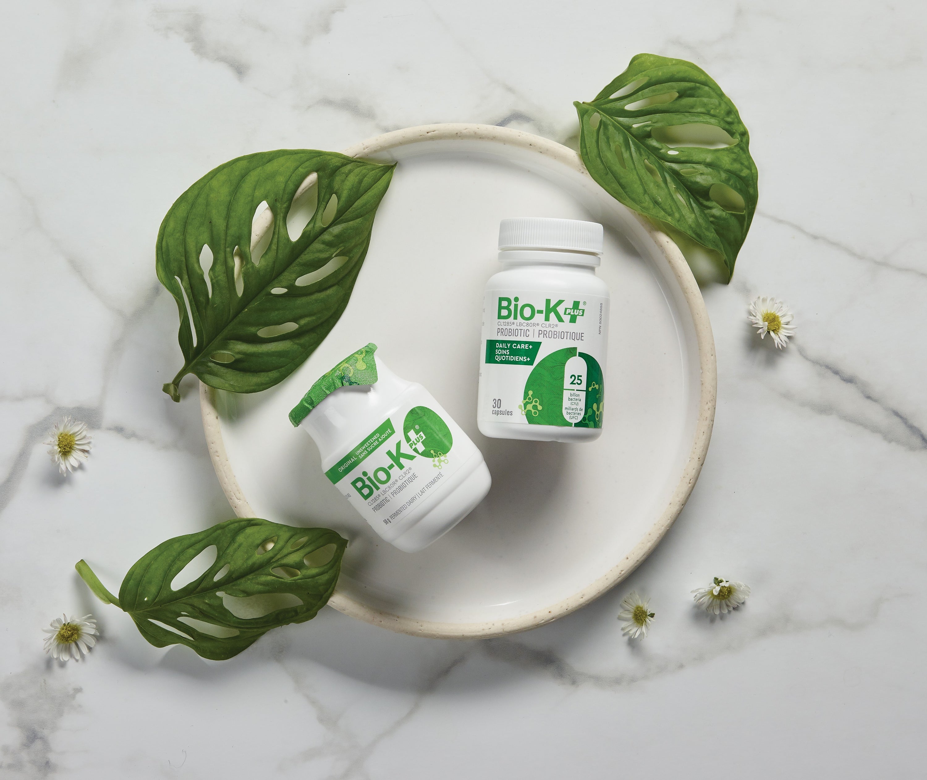 Antibio Pro - Probiotic Capsules – Bio-K+